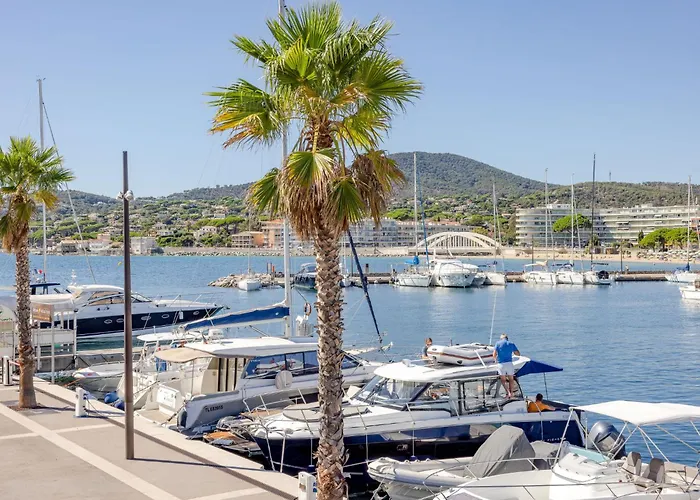 Les Pins Dores-1 By Interhome *